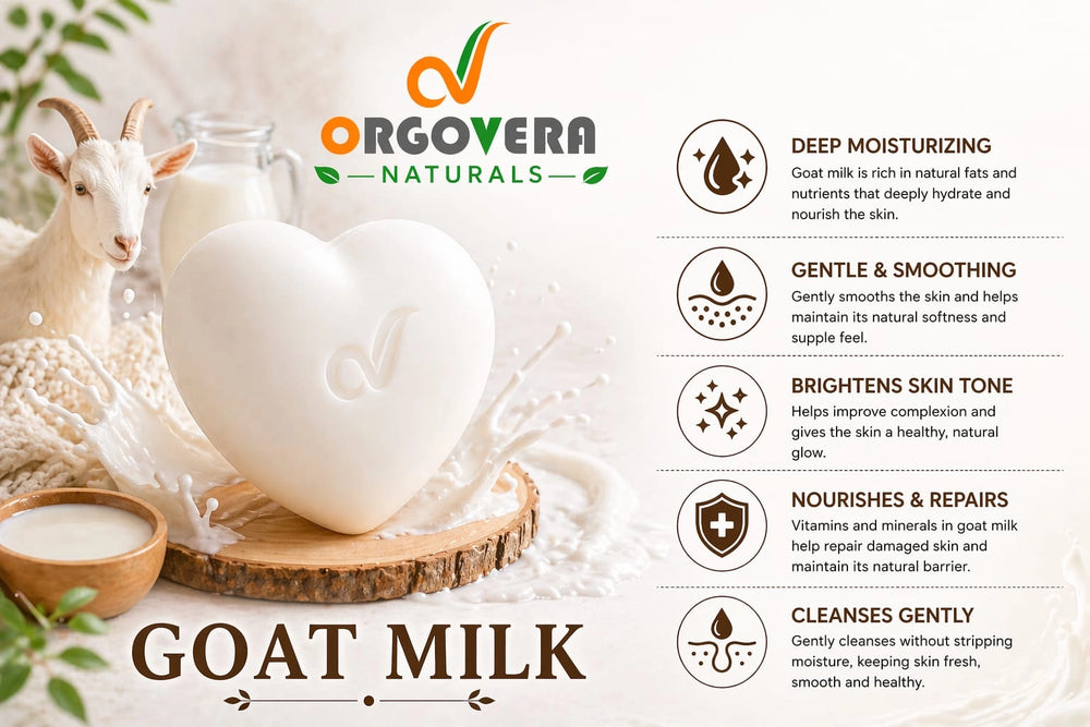Goat Milk Soap – Gentle, Soft & Healthy Glow | Handmade | 65gm